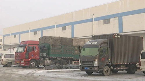 春節期間市場供應保障 食用農產品批發平穩運行